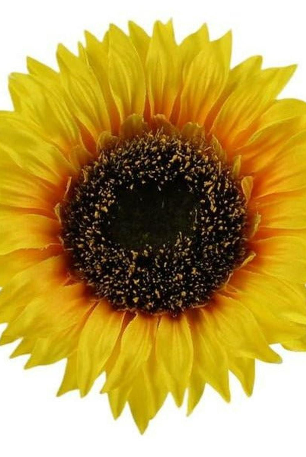 Shop For 5" Sunflower Head at Michelle's aDOORable Creations