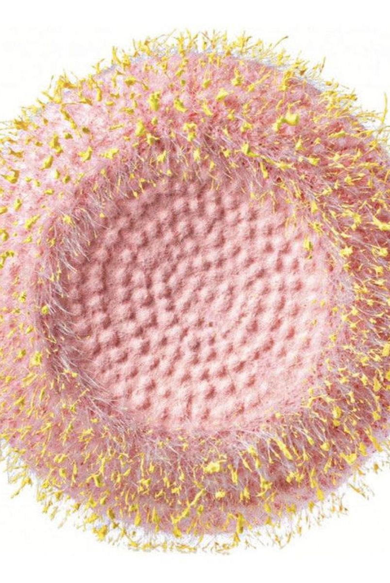 Shop For 6.25" Flower Head Center: Pink/Yellow at Michelle's aDOORable Creations