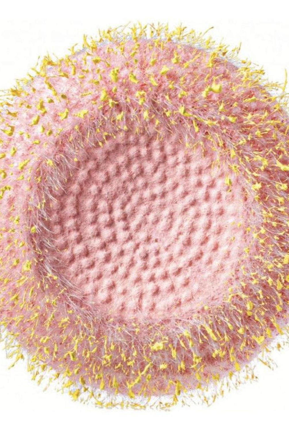Shop For 6.25" Flower Head Center: Pink/Yellow at Michelle's aDOORable Creations