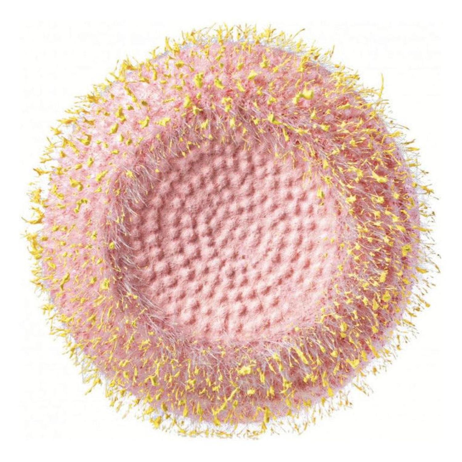 Shop For 6.25" Flower Head Center: Pink/Yellow at Michelle's aDOORable Creations