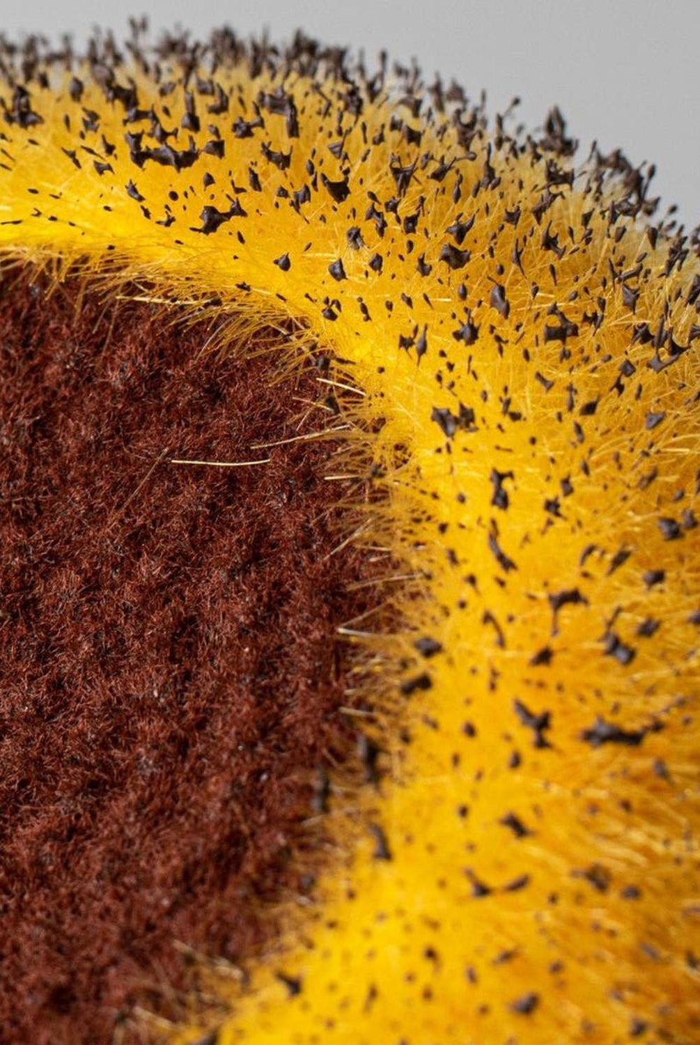 Shop For 6.25" Flower Head Center: Yellow/Brown at Michelle's aDOORable Creations