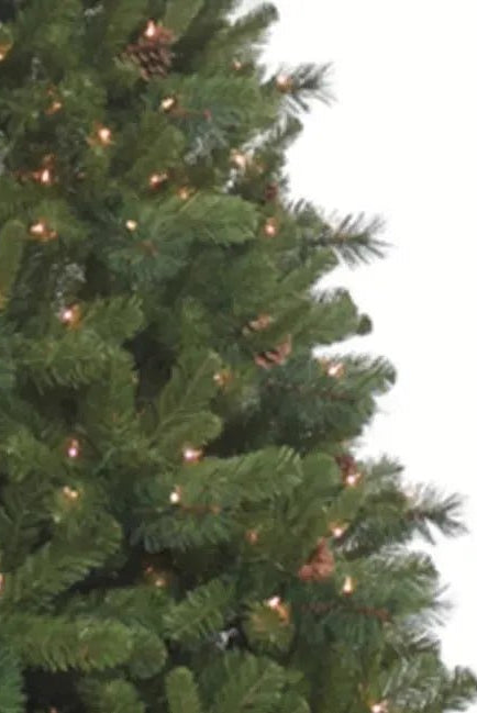 Shop For Kurt Adler 7.5 - Foot Pre - Lit Clear Burlington Spruce at Michelle's aDOORable Creations