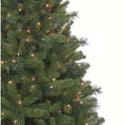 Shop For Kurt Adler 7.5 - Foot Pre - Lit Clear Burlington Spruce at Michelle's aDOORable Creations