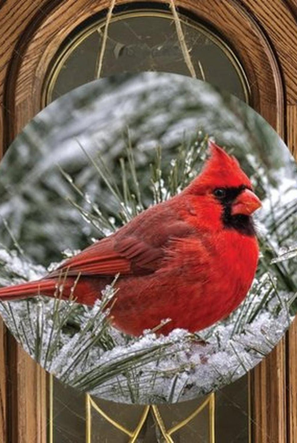 Snowy Branch Cardinal Bird Sign