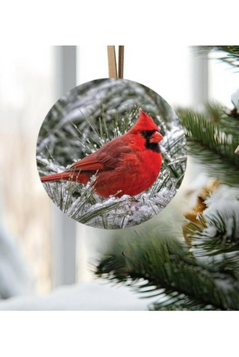 Snowy Branch Cardinal Bird Sign