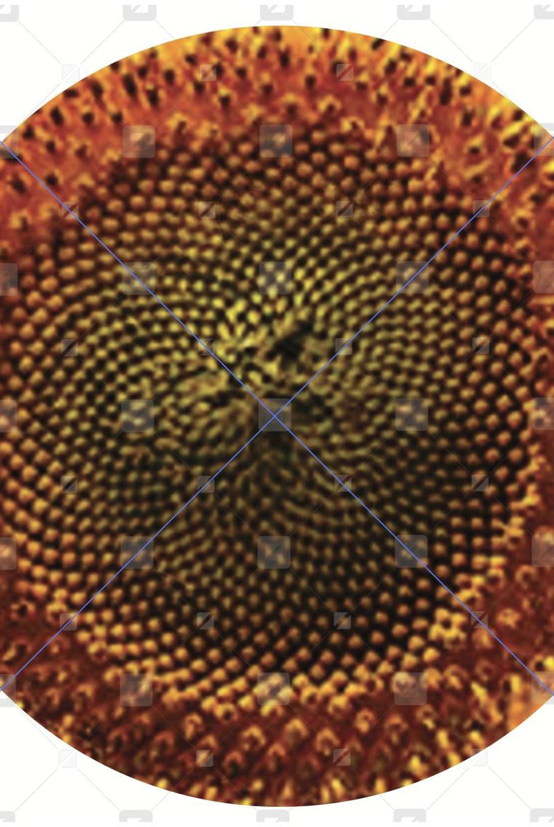 Shop For Sunflower Wreath Center - Wreath Enhancement at Michelle's aDOORable Creations