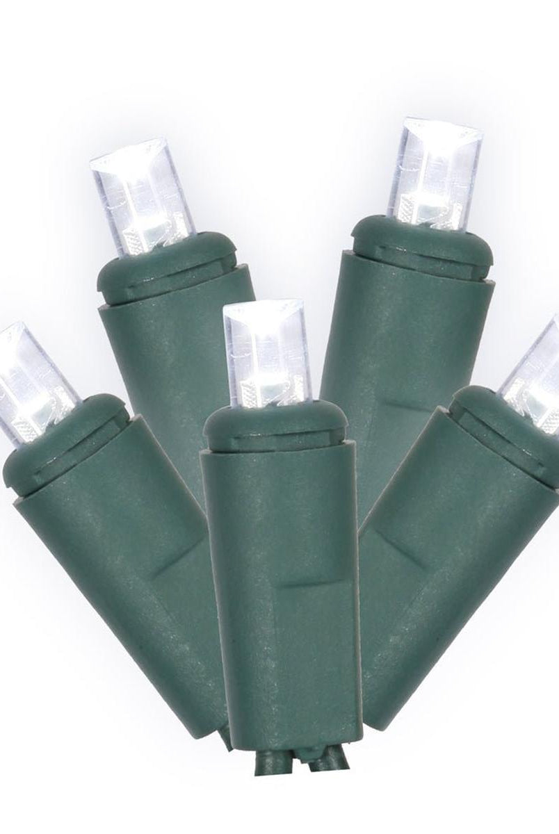 Shop For Vickerman 50 Light Wide Angle Cool White LED Christmas Lights at Michelle's aDOORable Creations