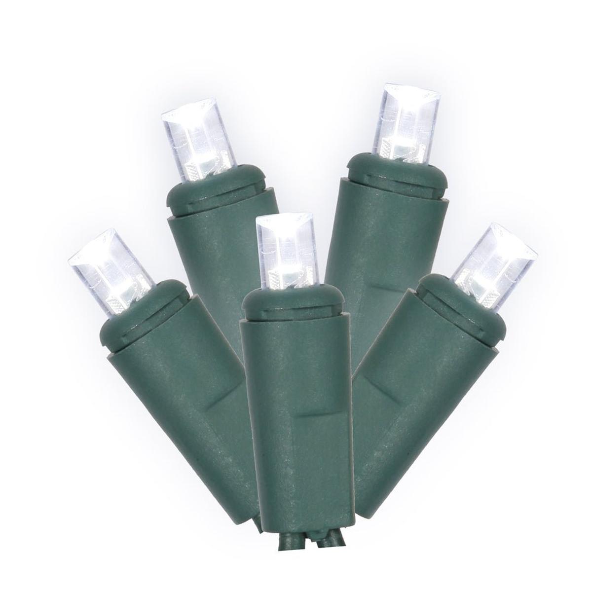 Shop For Vickerman 50 Light Wide Angle Cool White LED Christmas Lights at Michelle's aDOORable Creations