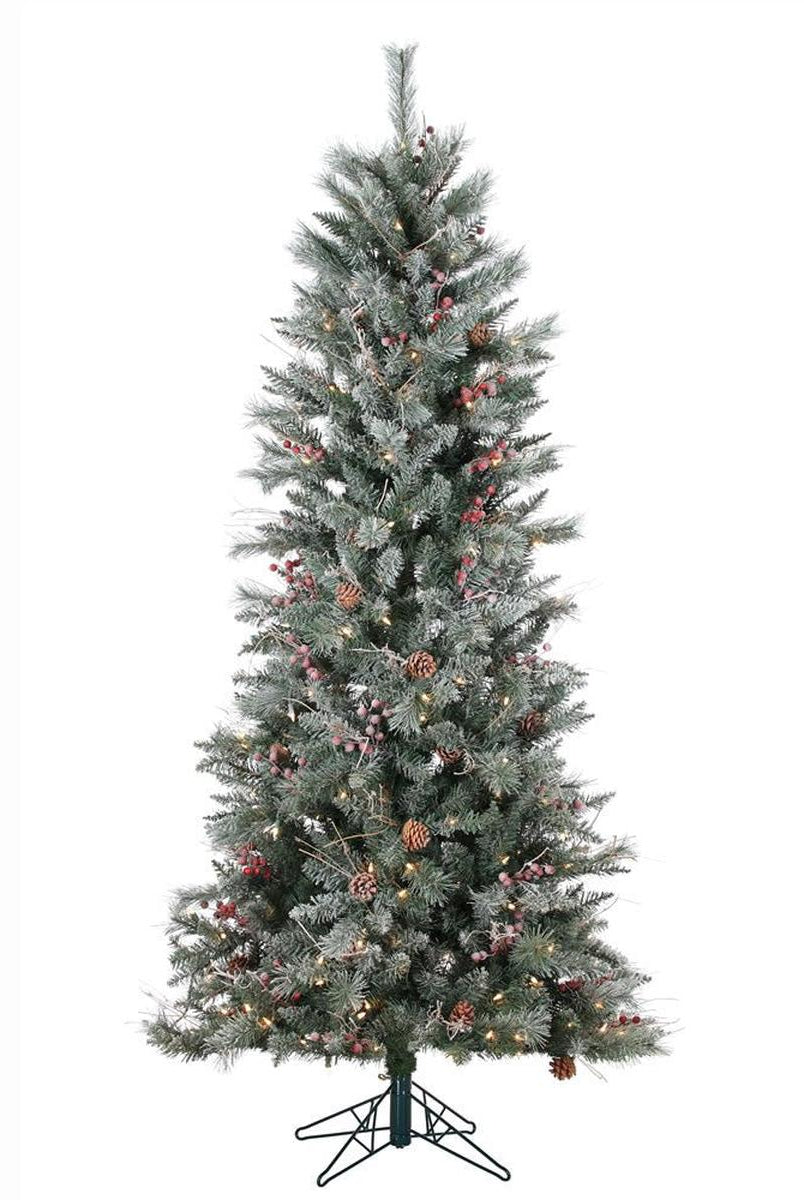 Shop For Vickerman 7' Frosted Berry Pine Tree 250CL Lights at Michelle's aDOORable Creations