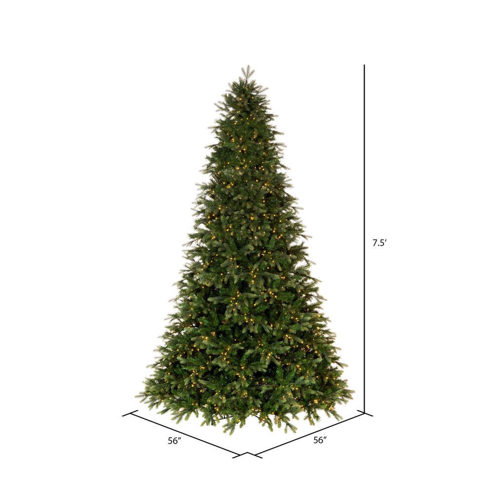Shop For Vickerman 7.5' Douglas Fir Artificial Christmas Tree, Warm White Lights at Michelle's aDOORable Creations