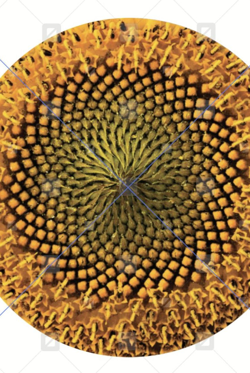 Shop For Yellow Sunflower Wreath Center - Wreath Enhancement at Michelle's aDOORable Creations