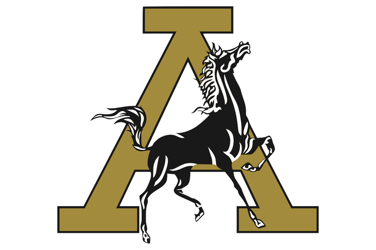 Andrew Mustangs High School - Black and Gold