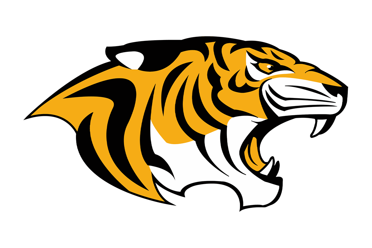 Black and Gold - Snyder High School