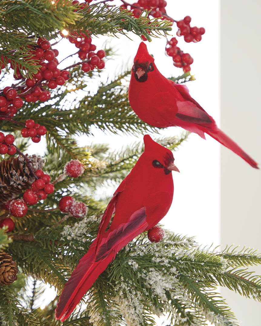 Cardinal Christmas - Michelle's aDOORable Creations