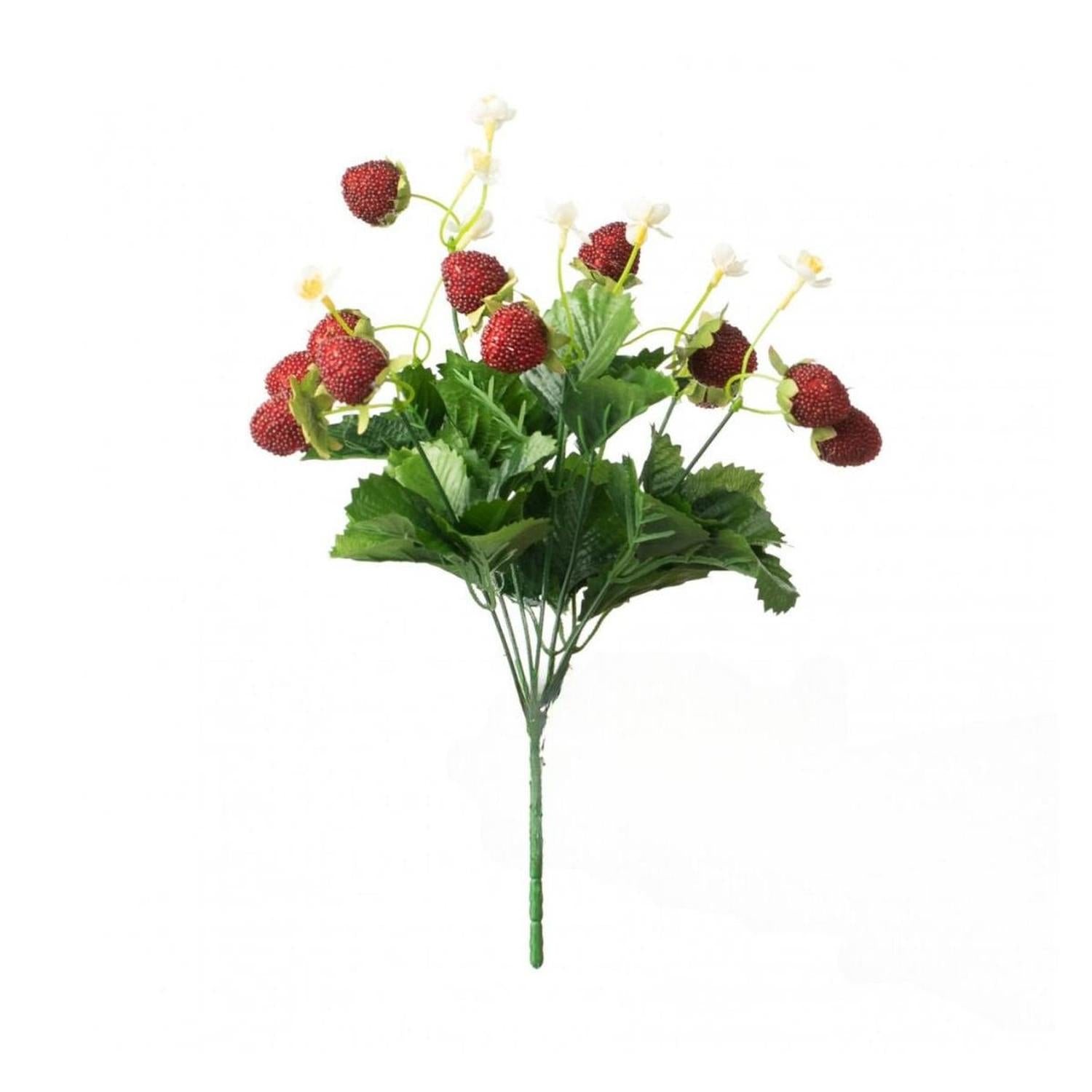 13" Strawberry & Fern Bush