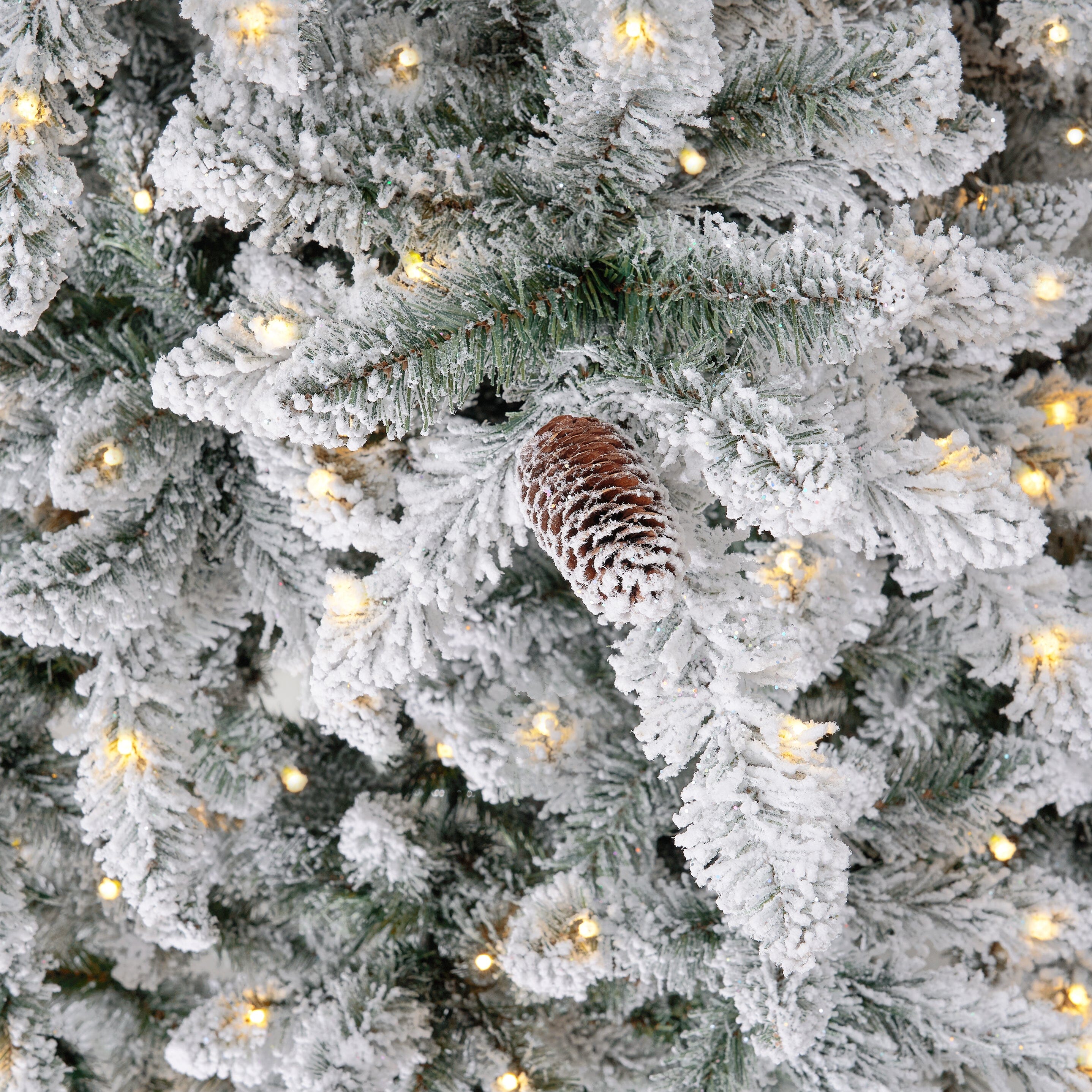 Shop For 10’ Flocked Livingston Fir Christmas Tree
