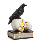 Shop For 10" Lighted Nevermore Raven And Skull
