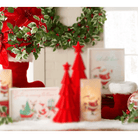 Shop For 10.5" Red Flocked Boot