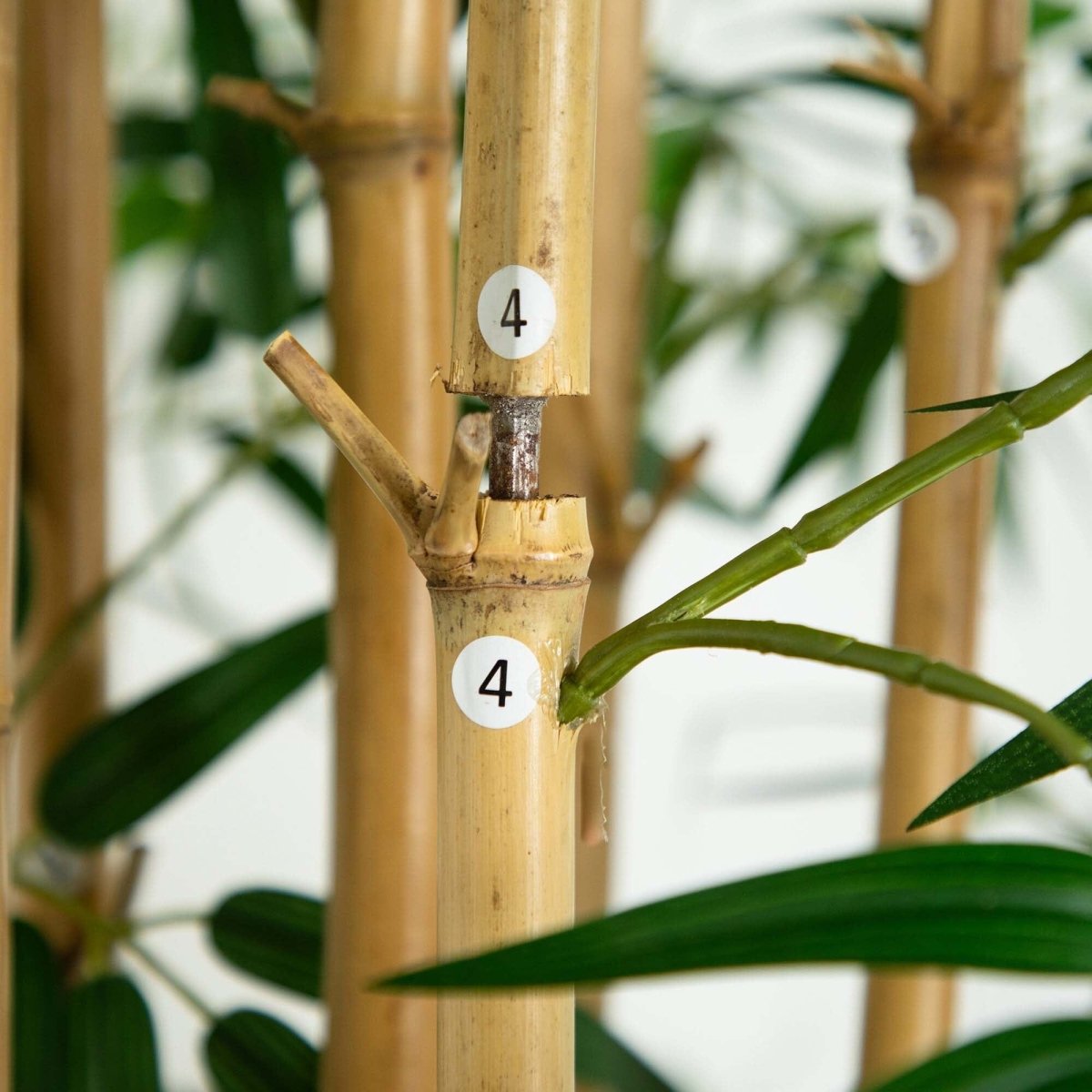 Shop For 11’ Artificial Bamboo Tree with Real Bamboo Trunks