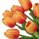 Shop For 13" Eva Dutch Tulip Bundle: Orange