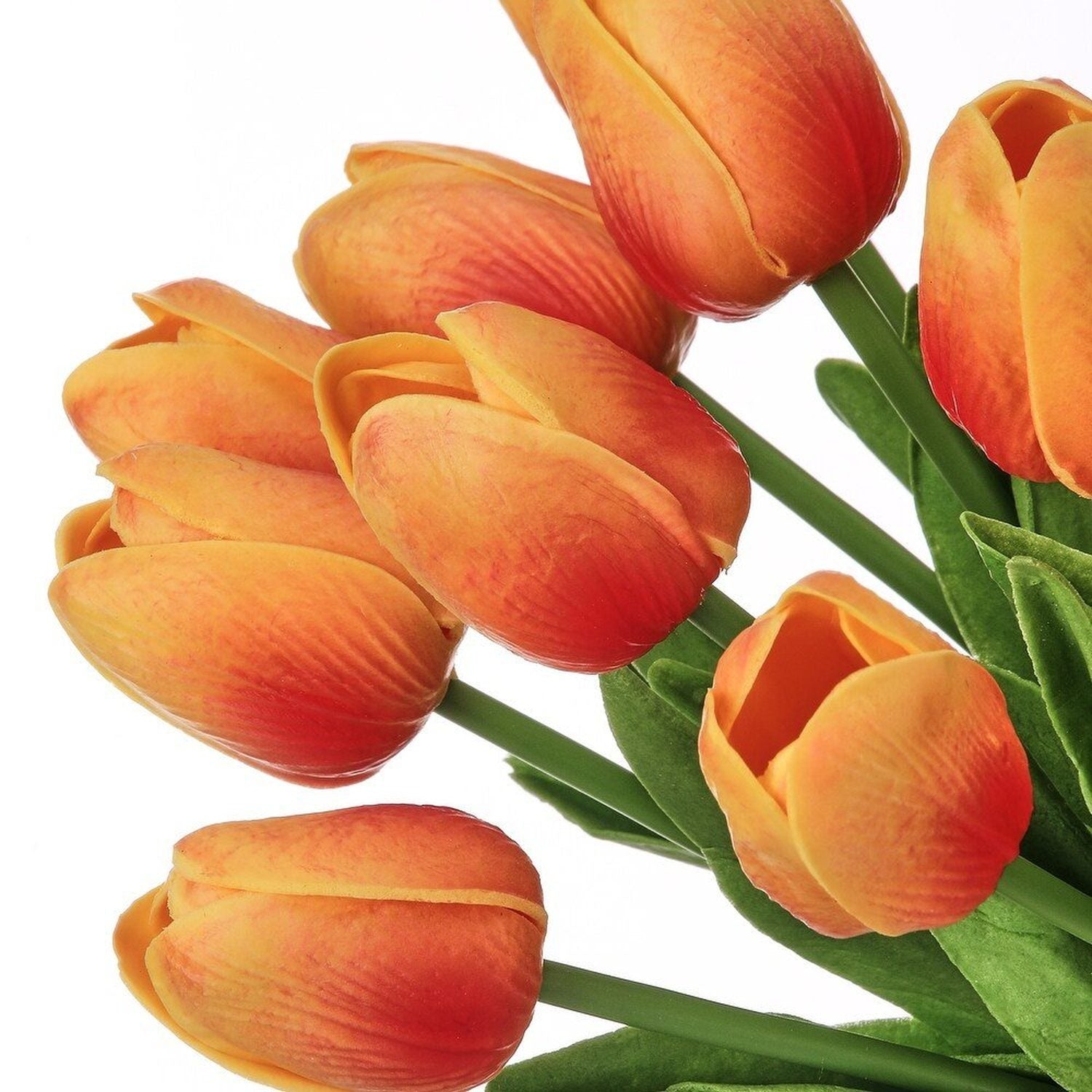 Shop For 13" Eva Dutch Tulip Bundle: Orange