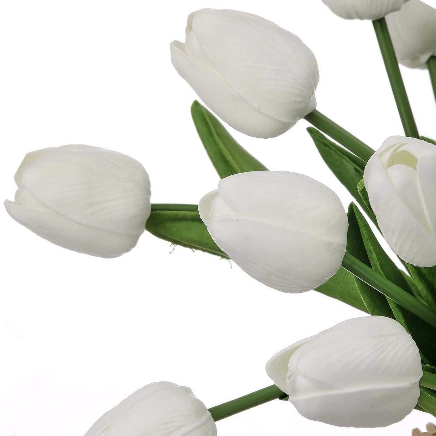 Shop For 13" Eva Dutch Tulip Bundle: White