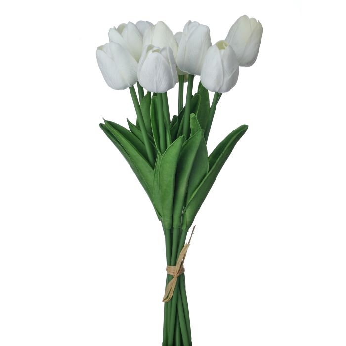 Shop For 13" Eva Dutch Tulip Bundle: White