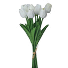 Shop For 13" Eva Dutch Tulip Bundle: White