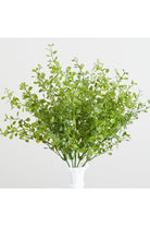 Shop For 15" Button Fern Bush