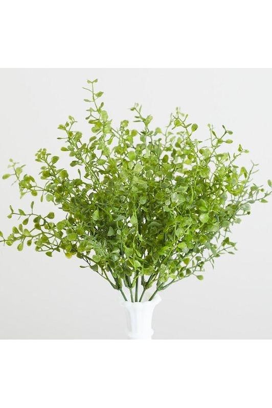 Shop For 15" Button Fern Bush