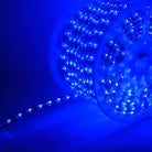 Shop For 150' Blue LED Rope Light, 2 Wire 1/2", 120 Volt