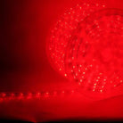 Shop For 150' Red LED Rope Light, 2 Wire 1/2", 120 Volt