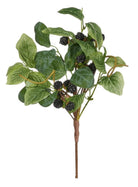 Shop For 16" Berry Pick