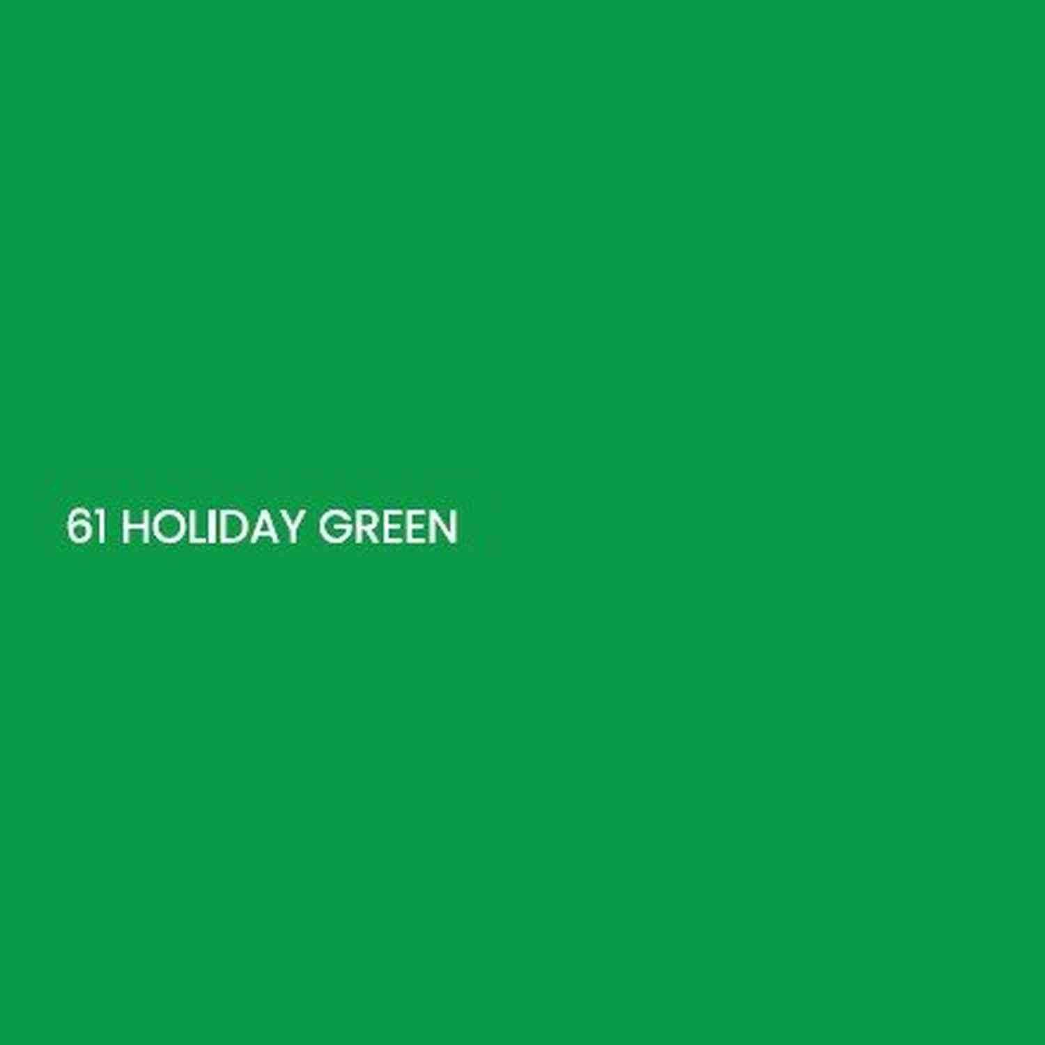 Shop For 16 McGinley Satin Acetate Ribbon Non Wired: Holiday Green (100 Yards)