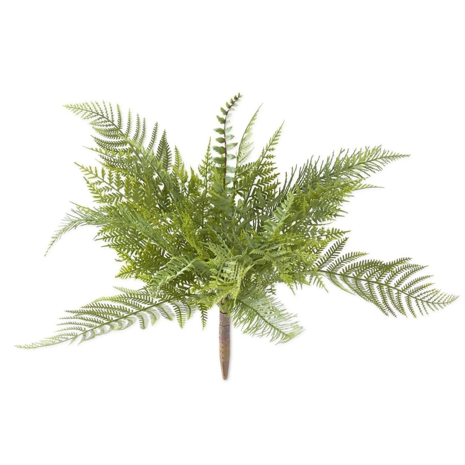 Shop For 17 Inch Mixed Fern Bush