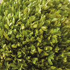 Shop For 17in English Boxwood Ball