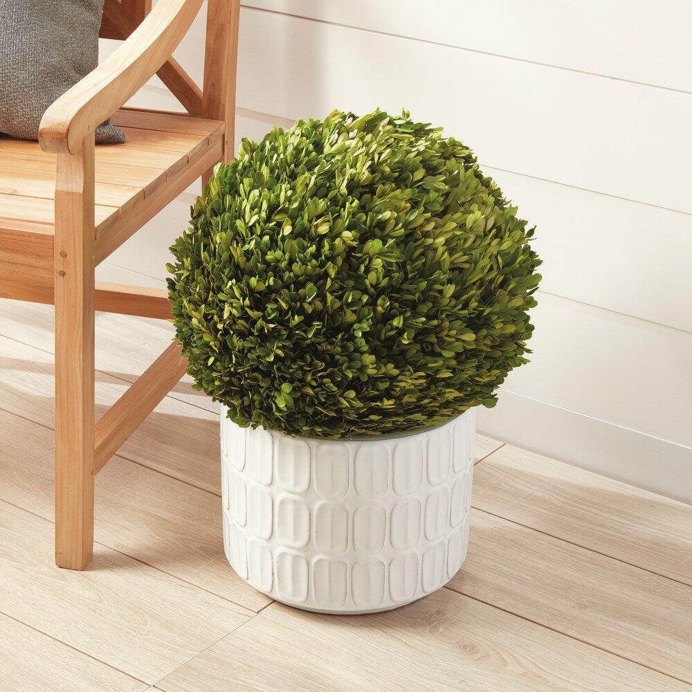 Shop For 17in English Boxwood Ball