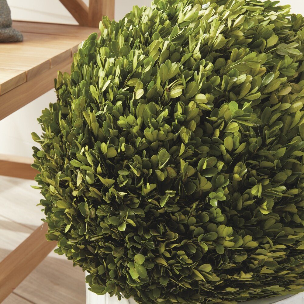 Shop For 17in English Boxwood Ball