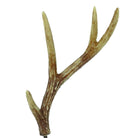 Shop For 17in Faux Antler Stem