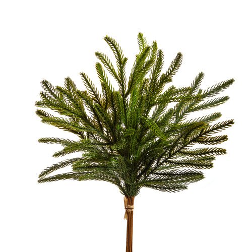 Shop For 18" Balsam Fir Bundle