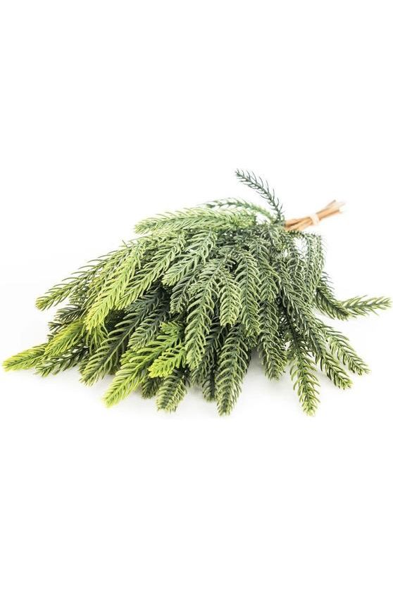 Shop For 18" Balsam Fir Bundle