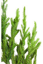 Shop For 18" Soft Touch Norfolk Pine Pick