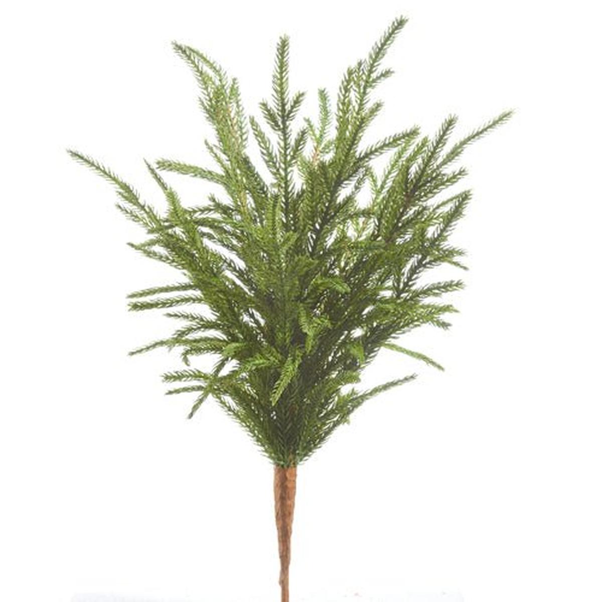 Shop For 18" Soft Touch Norfolk Pine Pick
