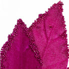 Shop For 19" Beaded Poinsettia Pick: Fuchsia Pink