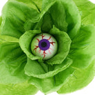 Shop For 19" Paper Rose Eyeball Stem: Green