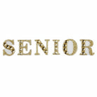 Shop For 1in Senior Sticker Rhinestone Letters: Gold