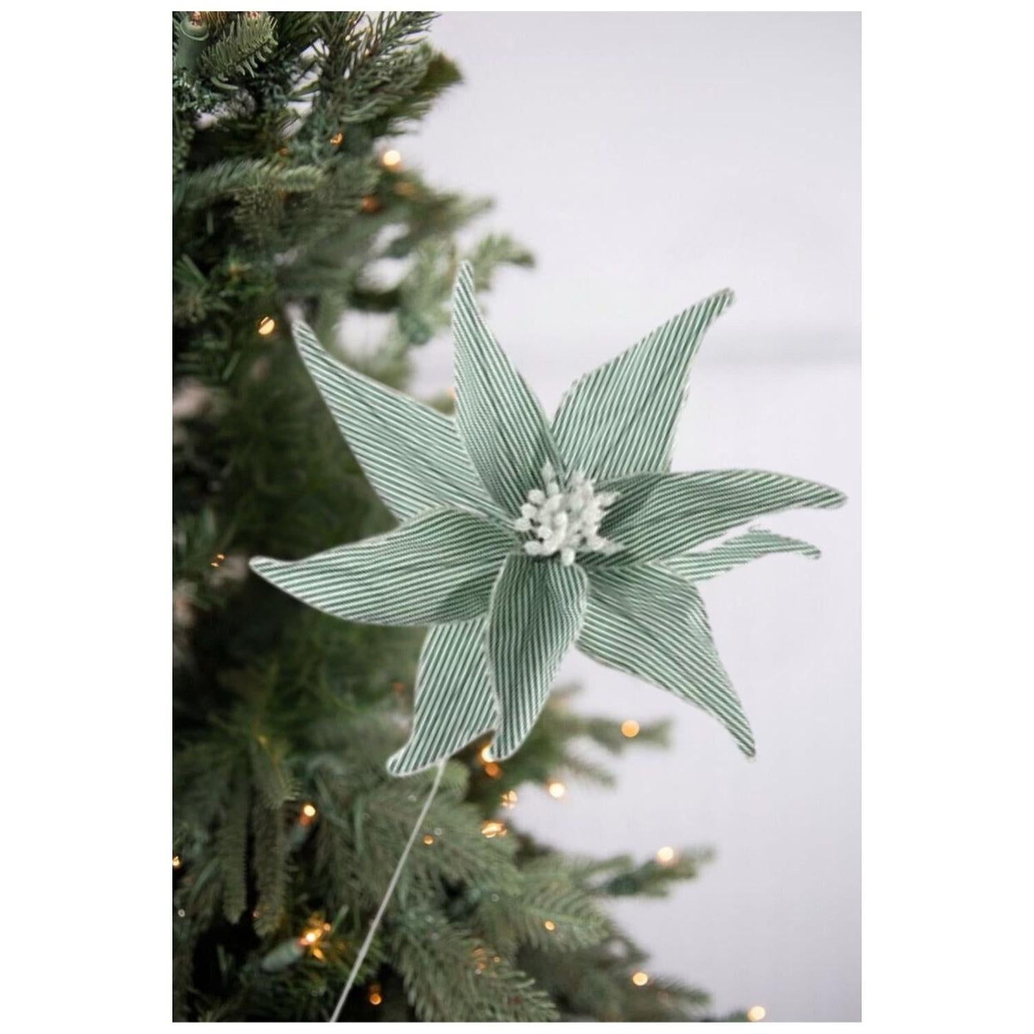 20" Canvas Striped Poinsettia: Dark Green