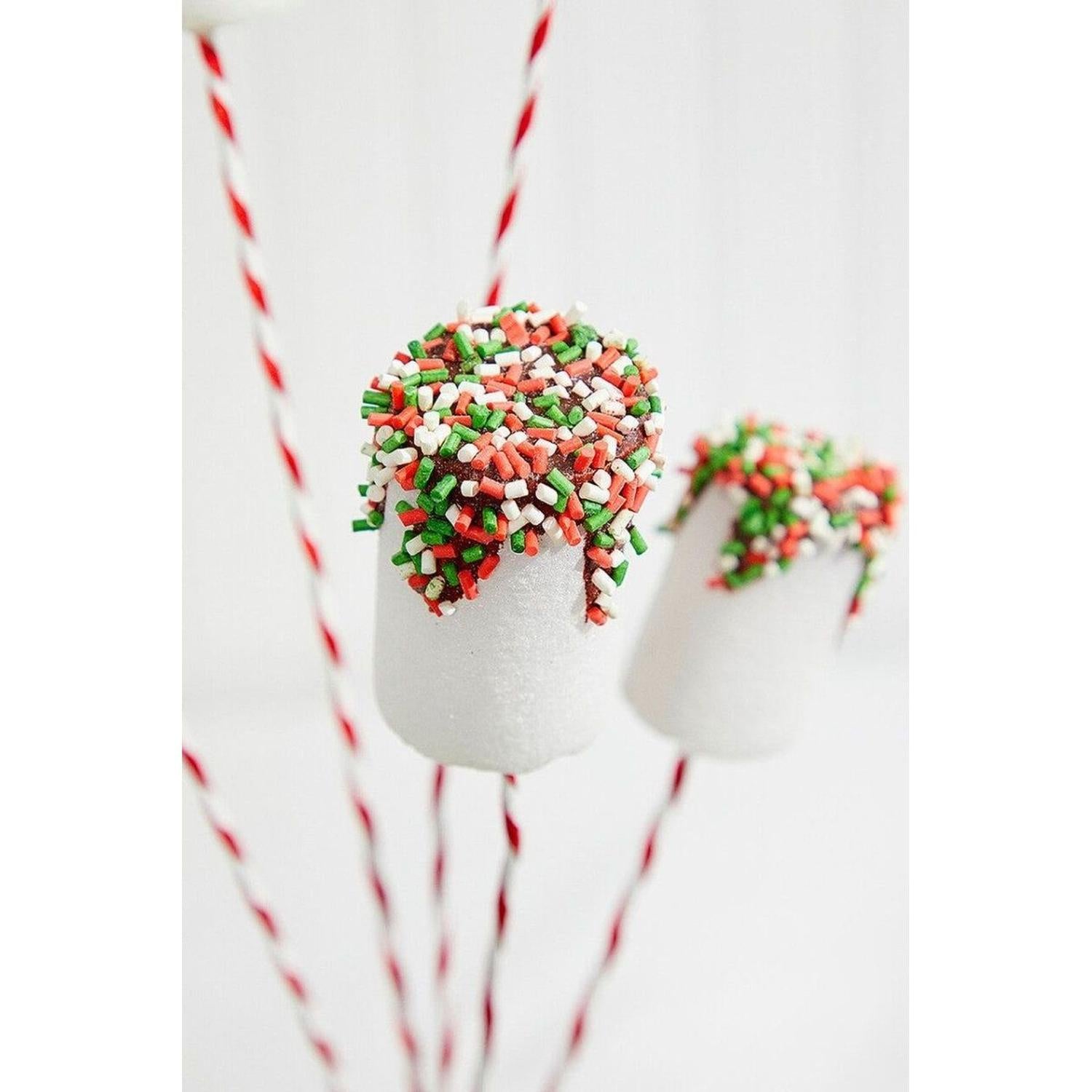 20" Chocolate Dipped Marshmallow Pick