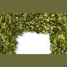 Shop For 20 Inch Square Preserved Natural Boxwood Wreath