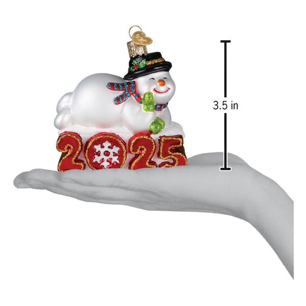Shop For 2025 Snowman Ornament